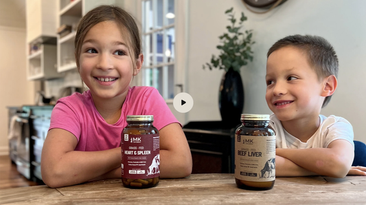 Freeze Drying vs. Heat Drying In Beef Organ Supplements: How Processing Shapes Potency