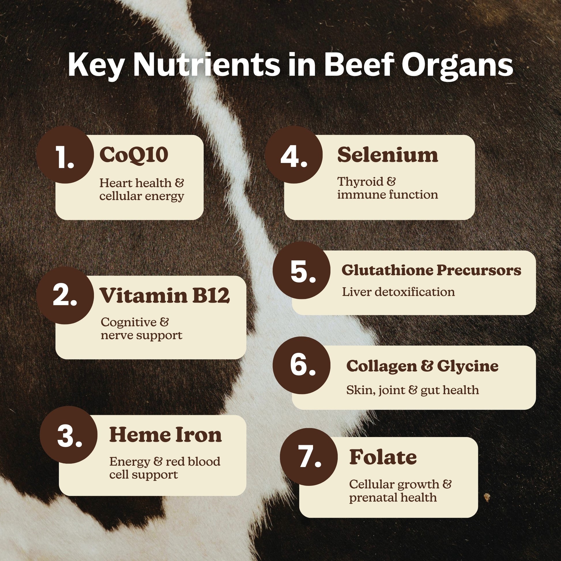 MK Supplements Beef Organs - Nutrients
