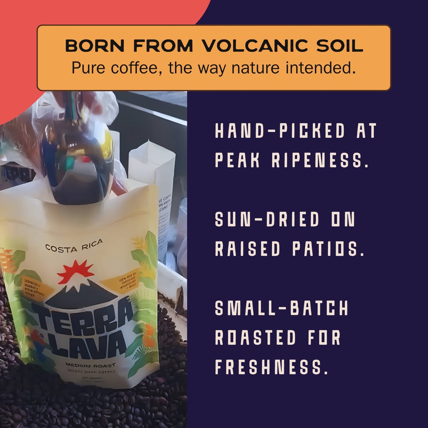 Terra Lava Dark Roast