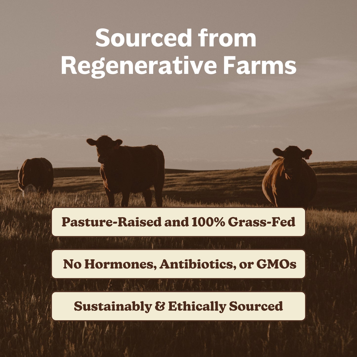 MK Supplements Beef Organs - Regenerative