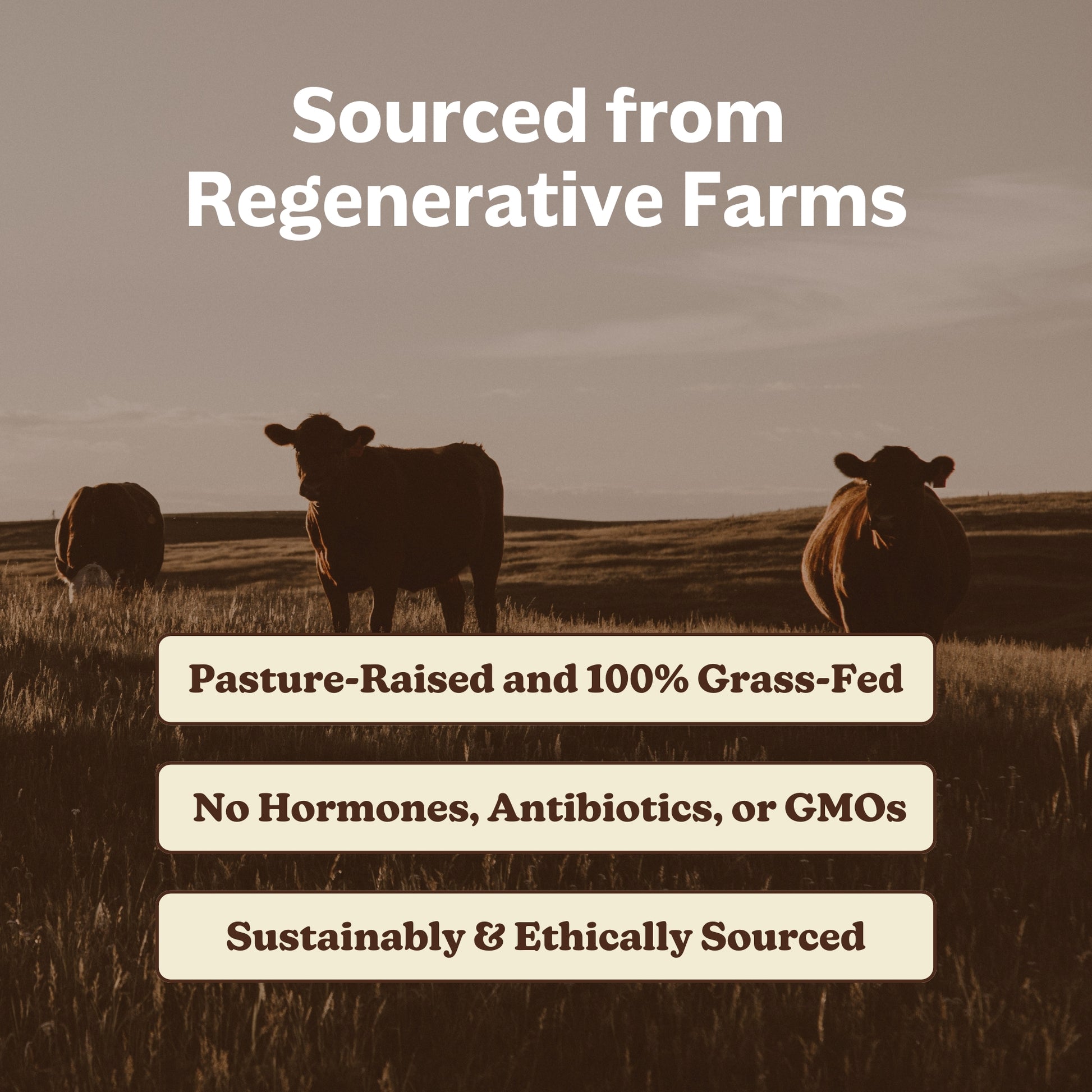 MK Supplements Beef Organs - Regenerative