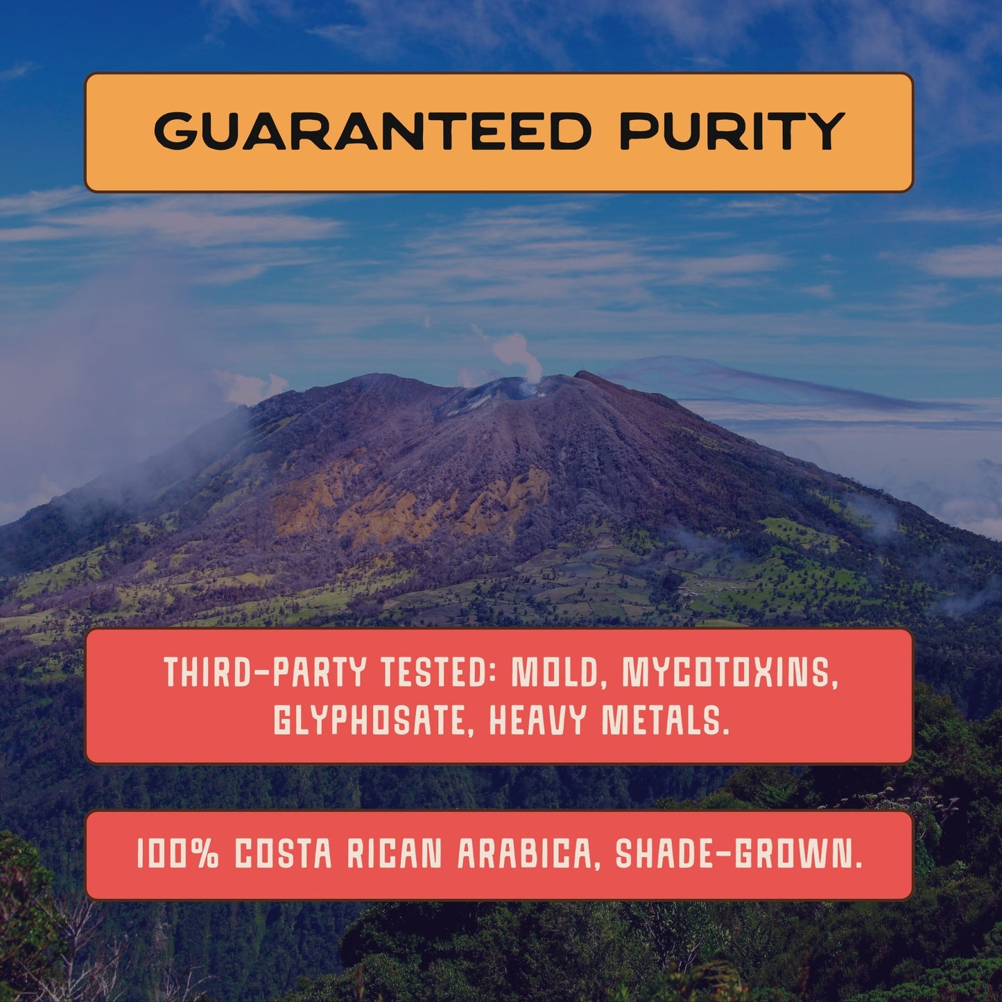 Terra Lava Dark Roast