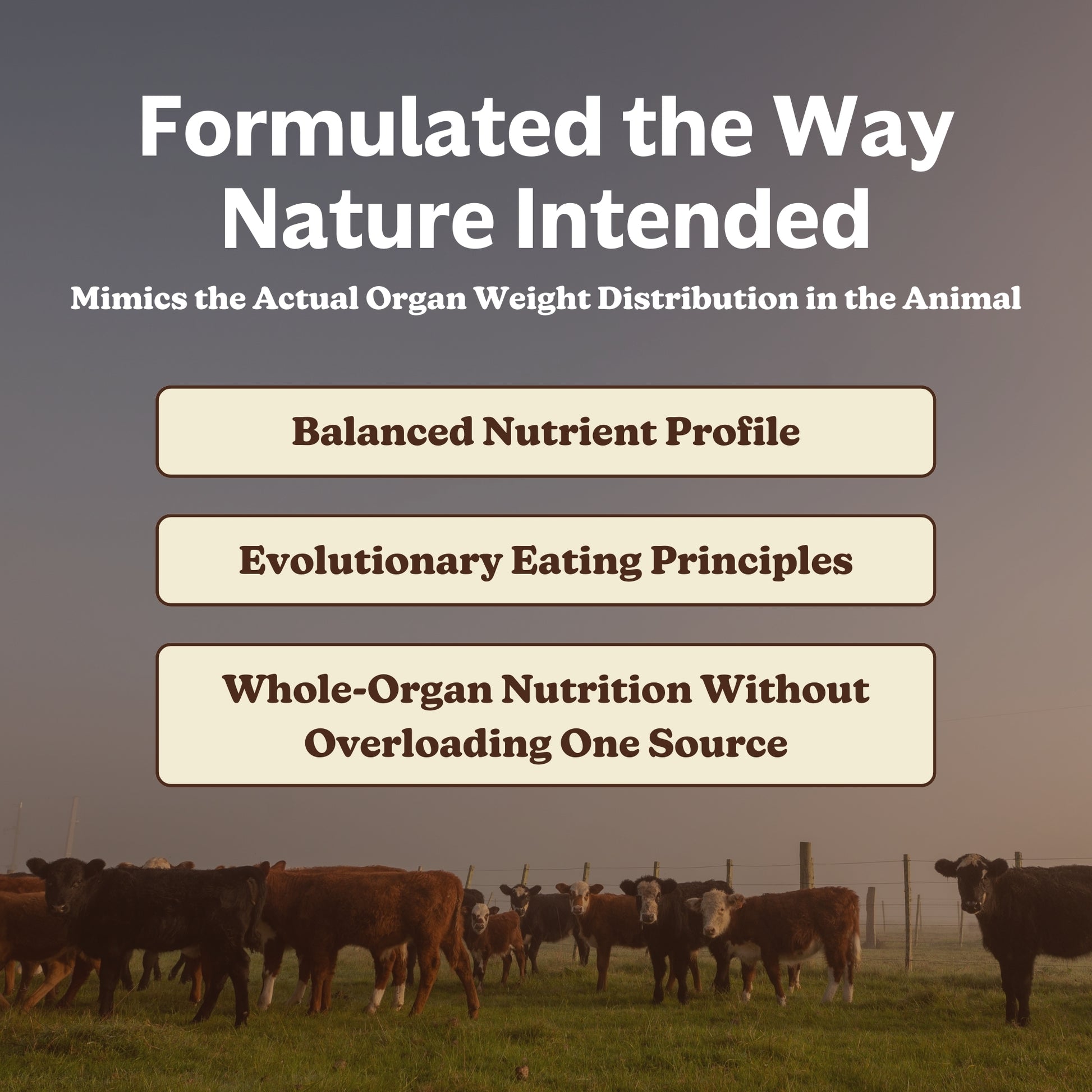 MK Supplements Beef Organs - Natural ratios
