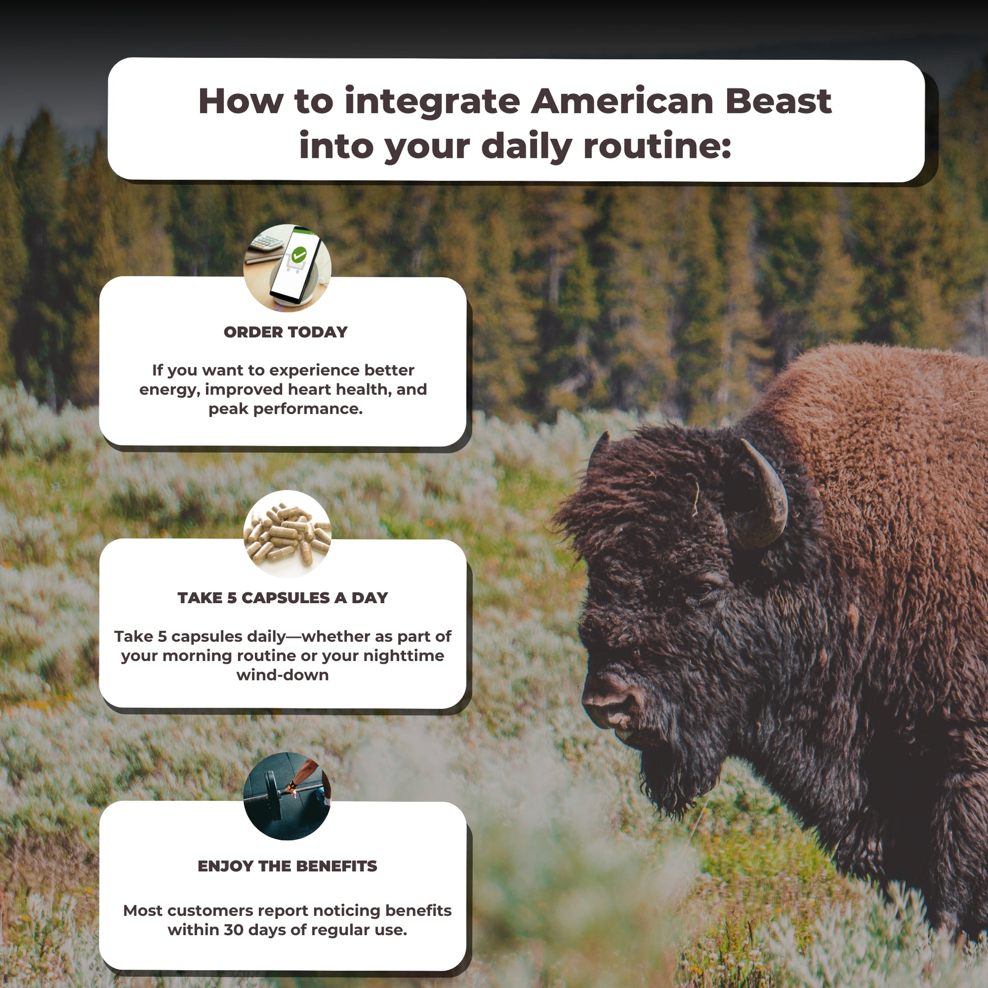 American Beast - How to use