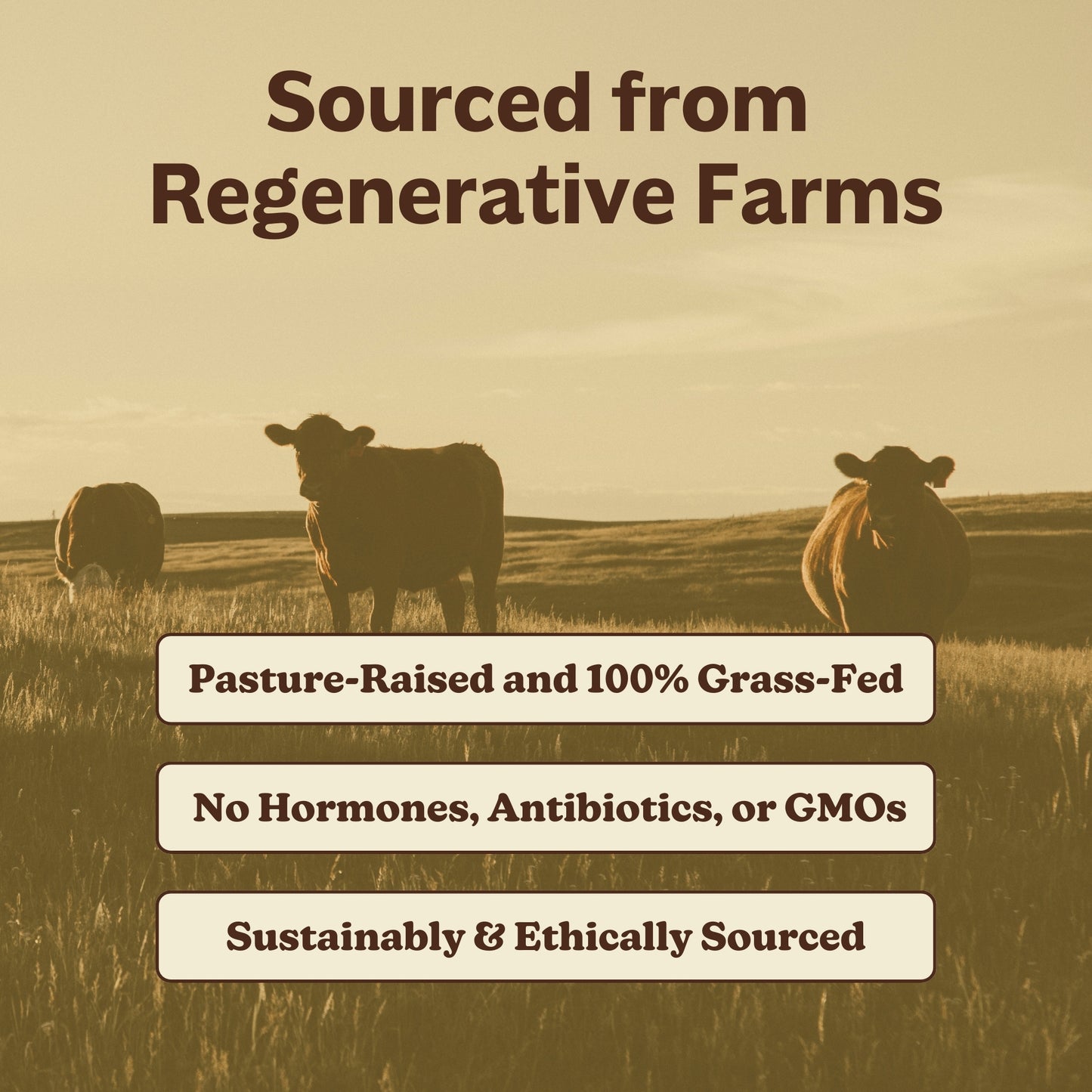 MK Supplements Beef Liver (Grass-Fed, Grass-Finished, Regenerative, Organic) Ethically Sources Sustainable