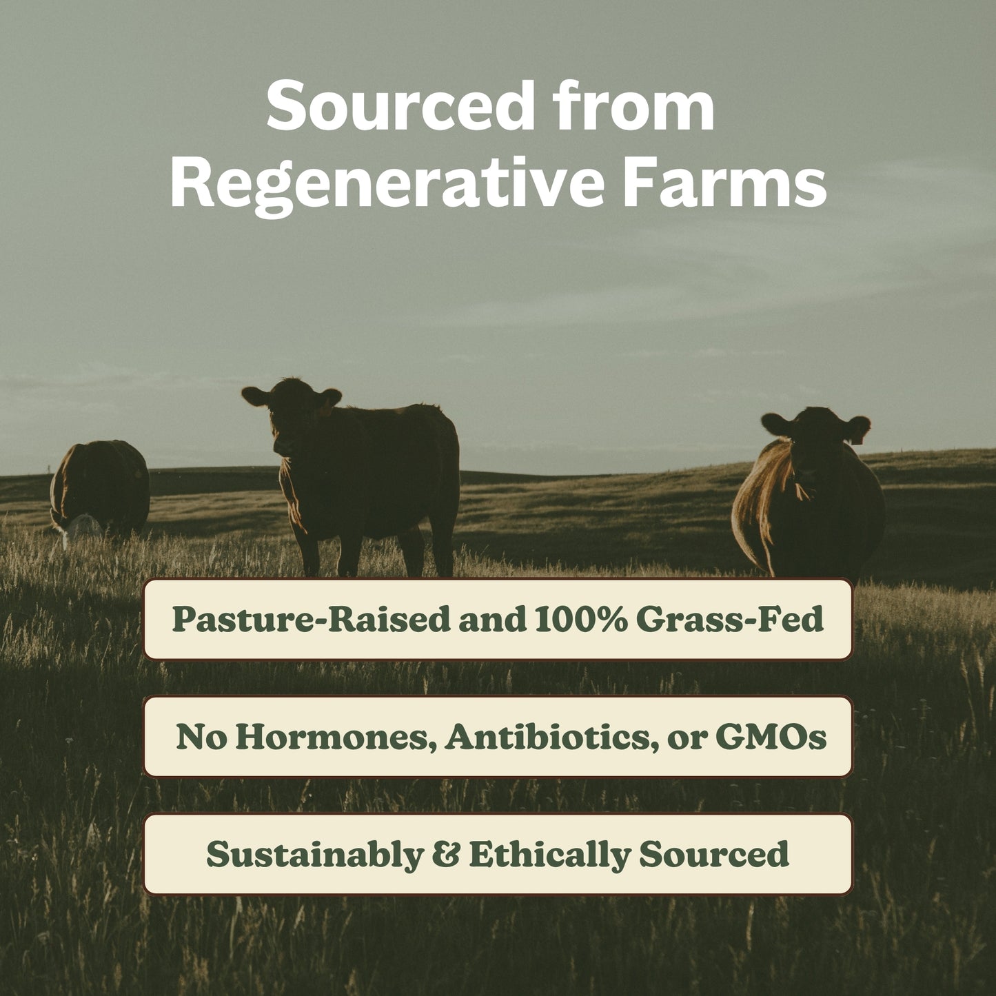 Grass-Fed Beef Organs (liofilizados, no desgrasados, no transgénico, 100% criados en pastos, suministro para 45 días)