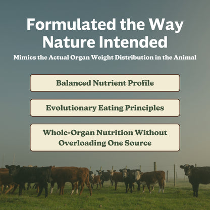 Grass-Fed Beef Organs (liofilizados, no desgrasados, no transgénico, 100% criados en pastos, suministro para 45 días)