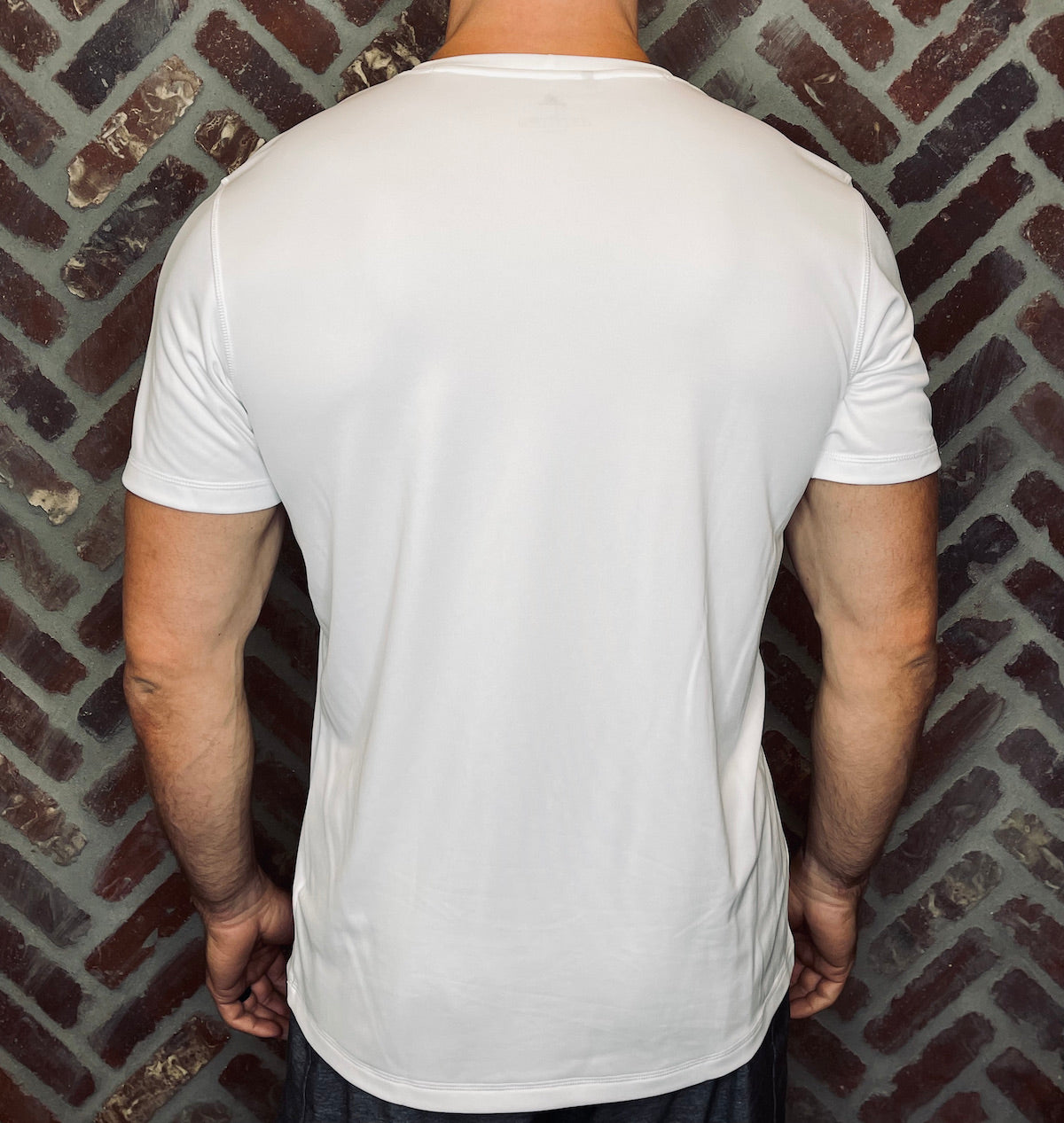 MK Supplements CARNIVORE T-Shirt in White, Back.